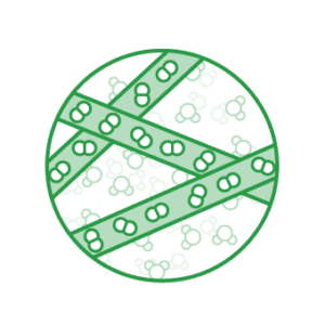 aft_icon_myday_green-340×340